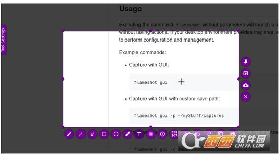 Flameshot,截图,图片.